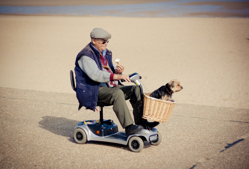 OAP & terrier on a disability scooter