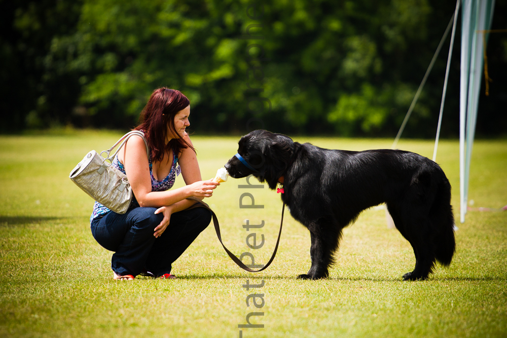 Dog and its owner sharing an ice cream